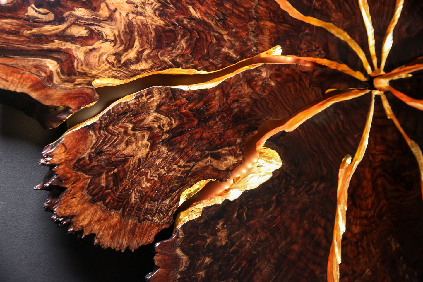 Claro Walnut Burl Slab Wall Art