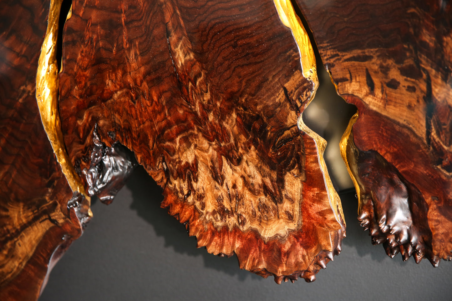 Claro Walnut Burl Slab Wall Art
