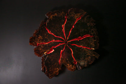 Claro Walnut Burl Slab Wall Art