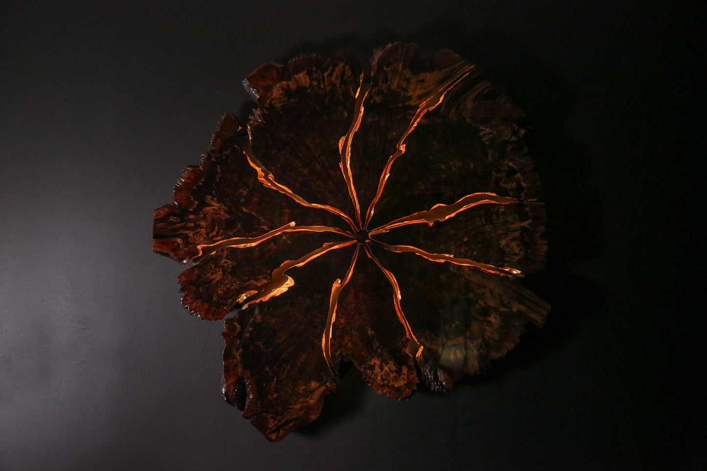 Claro Walnut Burl Slab Wall Art