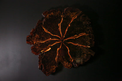 Claro Walnut Burl Slab Wall Art