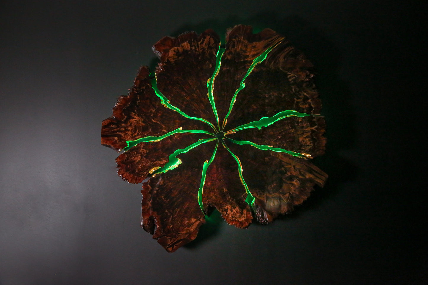 Claro Walnut Burl Slab Wall Art