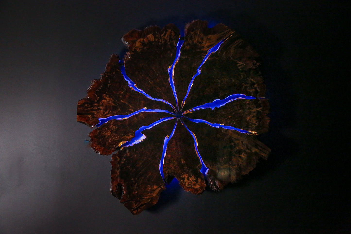 Claro Walnut Burl Slab Wall Art