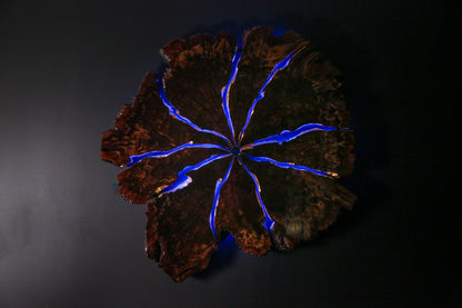 Claro Walnut Burl Slab Wall Art