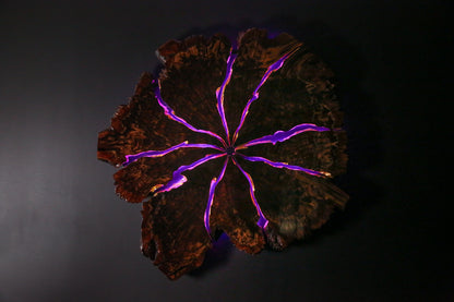 Claro Walnut Burl Slab Wall Art