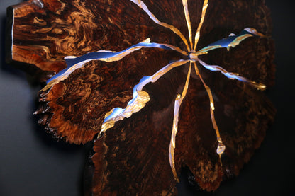 Claro Walnut Burl Slab Wall Art