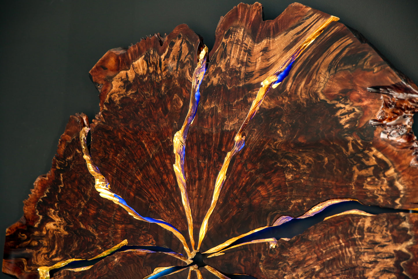Claro Walnut Burl Slab Wall Art