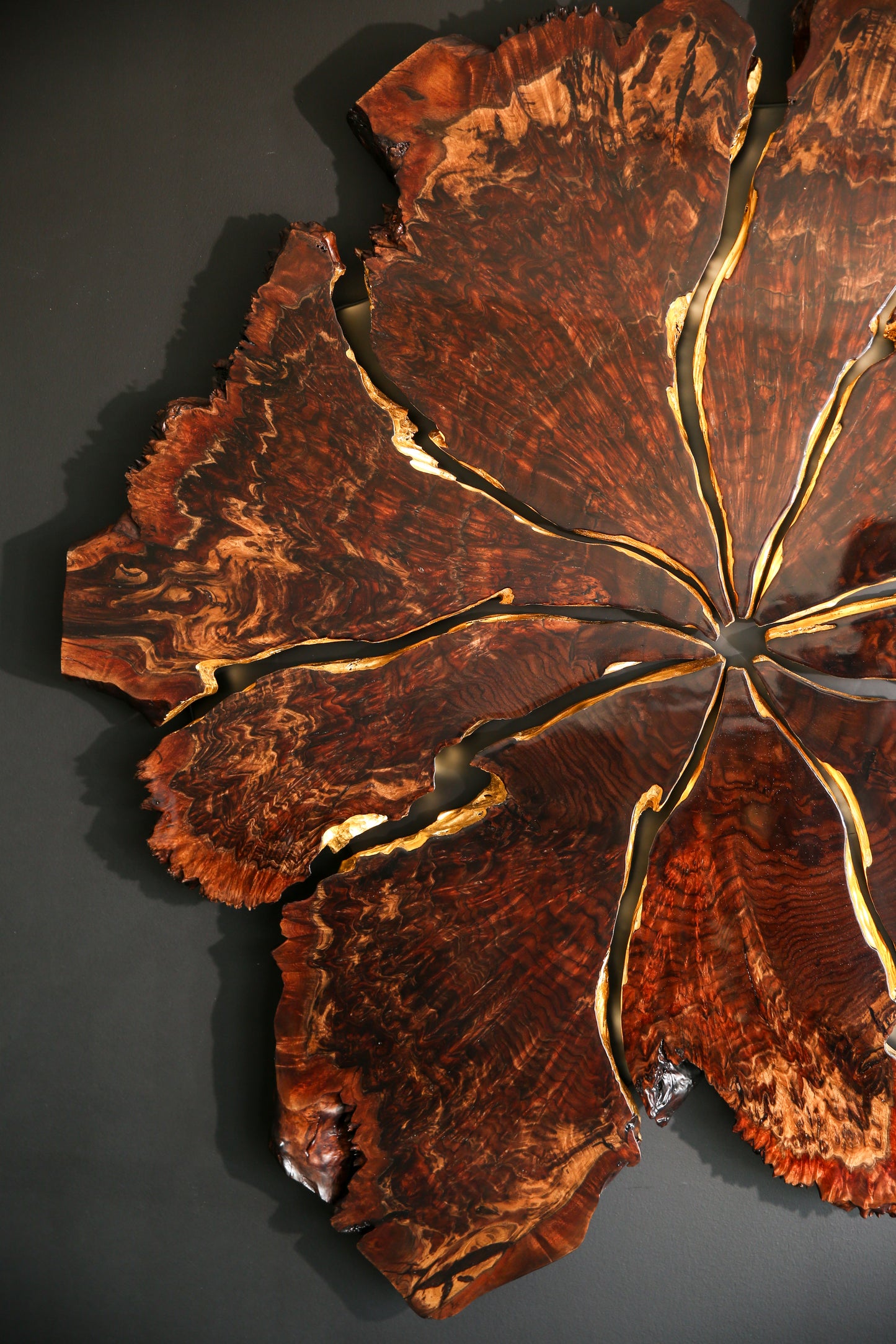 Claro Walnut Burl Slab Wall Art