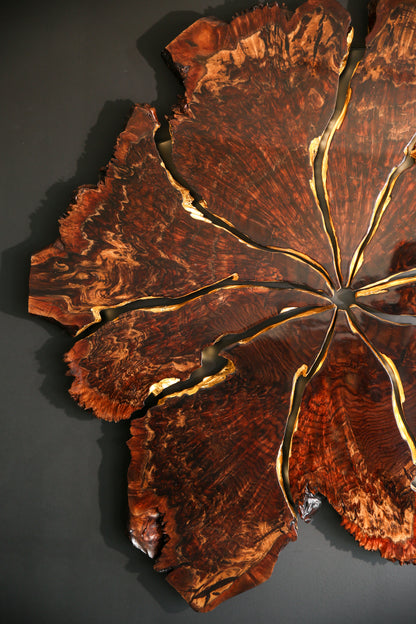 Claro Walnut Burl Slab Wall Art