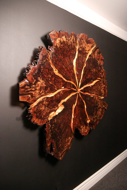 Claro Walnut Burl Slab Wall Art